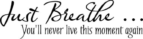 Just Breathe You'll Never Live This Moment Again By Blue Monkey Graphpics Inspirational Wall Home Decor Quotes Lettering