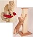 Ultimate Scratch Post and Perch