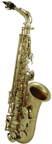 Roy Benson RBAS-302 Eb Professional Alto Saxophone