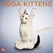 Yoga Kittens 2011 Square 12X12 Wall Calendar (Multilingual Edition)