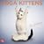 Yoga Kittens 2011