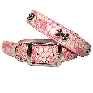 Cobra Skin Pattern Chrome Bones Dog Collar - Small (9