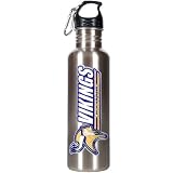 Minnesota Vikings NFL 26oz Stainless Steel Water Bottle