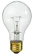Club Pack of 25 Transparent Clear E26 Base Replacement A19 Light Bulbs - 25 Watts