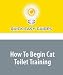How To Begin Cat Toilet Training