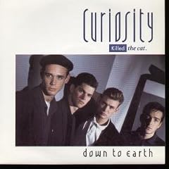 DOWN TO EARTH 7" (45) UK MERCURY 1986 AUTOGRAPHED BY BEN PIERROT AMD NICK THORPE ON FRONT OF PIC SLEEVE B/W INSTRUMENTAL (CAT2) PIC SLEEVE