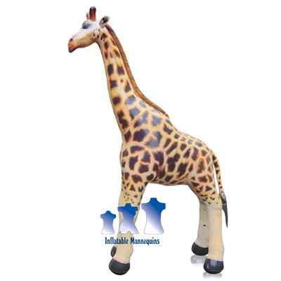 Extra-Large Giraffe