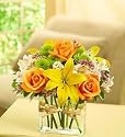 Flowers by 1800Flowers - Fields of Europe in Rectangle Vase - Small
