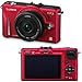 Panasonic Consumer DMC-GF2CR 12.1mp Digital Camera Red