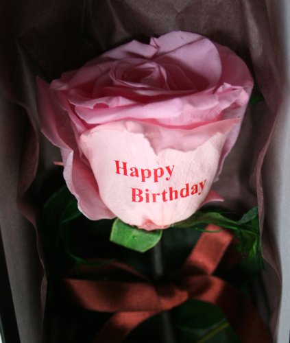 メッセージローズ (Preserved Rose) エモーション~恋のミサイル~ピンク 【Happy Birthday】 22200