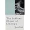 Zizek's 4 favourite books