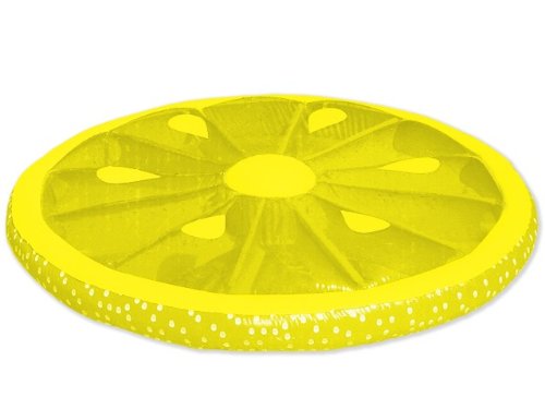 Lemon Slice Floating Pool Island