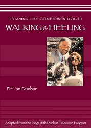 Training The companion Dog 3 --  Walking and Heeling