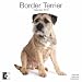 terrier12 - Border Terrier 2010 Wall Calendar