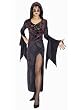 Dark Vixen Women's Gothic Theatre Costumes Sorceress Classic Witch