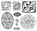 Stewart Gill Artaglio Super-Deep Etch Rubber Stamp By Pam Borthwick Pb11 Organimetrics