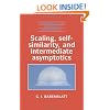 Scaling, Self-similarity, and Intermediate Asymptotics: Dimensional Analysis and Intermediate Asymptotics (Cambridge Texts in Applied Mathematics)