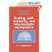 Scaling, Self-similarity, and Intermediate Asymptotics: Dimensional Analysis and Intermediate Asymptotics (Cambridge Texts in Applied Mathematics)