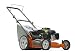 Father's Day Gifts in Lawn & Garden