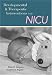 Developmental and Therapeutic Interventions in the Nicu