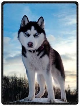 Custom white black husky/huskie dogs Super Soft Warm Fleece Throw Blanket 58" x 80" (Large)