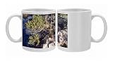 PPG-1408 Juniper - natural bonsai Photo Mugs