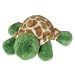 Lizards/Amphibians