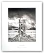 Stumped by Thomas Barbey 11"x14" Art Print Poster