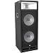 MTX Dual 12 Two-WayProfessional Loud Speaker - TP212