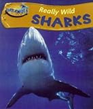 Sharks