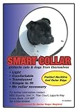 Smart Collar for Cats & Dogs (Size 2, 25-31cm)