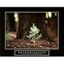 (22x28) Determination (Little Pine Tree) Motivational Poster Print