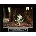 (22x28) Determination (Little Pine Tree) Motivational Poster Print