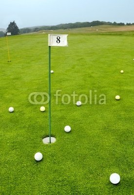 Wallmonkeys Peel and Stick Wall Decals - Golf Lessons - 36