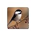 Chickadee Rubber Square Coaster (4 pack)