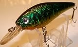 L 17 Shad Custom Lure Bass Fishing Plug Crankbait Shallow Diver 41pcQgHiDKL. SL160 L 17 Shad Custom Lure Bass Fishing Plug Crankbait Shallow Diver