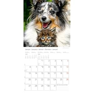 Beste Freunde - Best Friends 2014. Trends & Classics Kalender