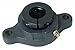 2-Bolt Flange Bearing with Ball Bearing Insert and 1-1/4" Bore Dia.