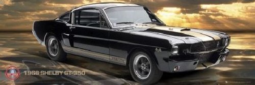 1art1 52090 Autos - Ford Shelby, GT350 Midi-Poster 91 x 30 cm