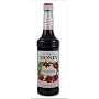 Monin Pomegranate Syrup, 750 Ml