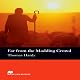 Far from the Madding Crowd