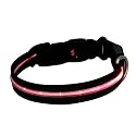 2-TECH LED Hundehalsband in ROT 2. Generation 64cm 2,5cm breit - Halsumfang von 42 bis 64 cm