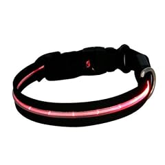 LED Hundehalsband in ROT 2. Generation - 34 bis 50 cm