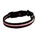 LED Hundehalsband in ROT 2. Generation - 34 bis 50 cm