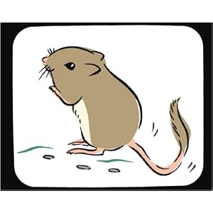 Decorated Mouse Pad with kangaroo, rat, animal