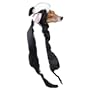 Casual Canine 12-Inch Polyester Little Stinker Skunk Dog Costume, Small, Black/White
