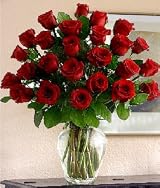 2 Dozen Long Stem Roses
