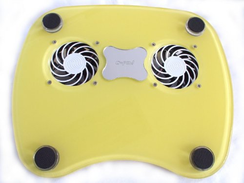 Super Beautiful Notebook / Laptop Cooling Pad with 2 Built-in USB Powered Fans -