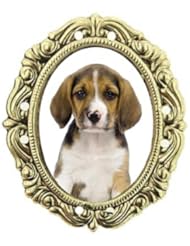 Beagle Brass Portrait Pin Gold Plated