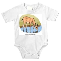 Onesie with africa, kobus, deer, drink, ram, watering, vardoni, hole, antelope, puku, animal, drinking